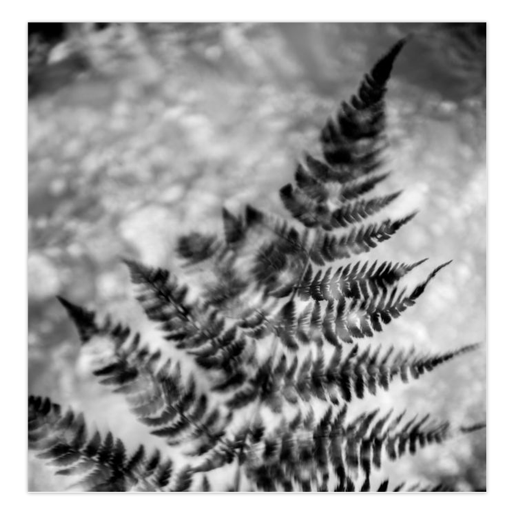 generated-preview-1